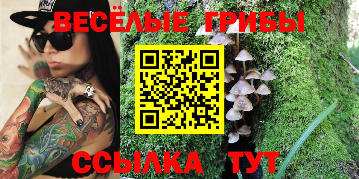 Галлюциногенные грибы Magic Shrooms  Вход с VPN  Прохладный 