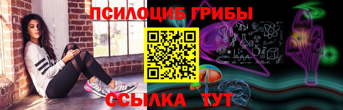 Галлюциногенные грибы ЛСД Прохладный