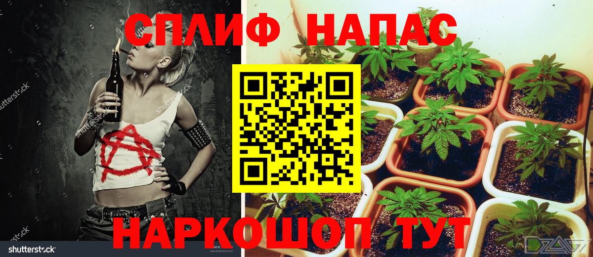 Шишки марихуана Ganja Прохладный